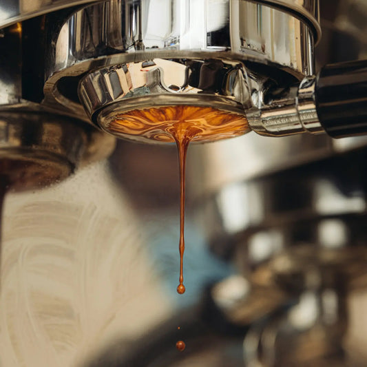 Workshop: Pulling The Perfect Espresso